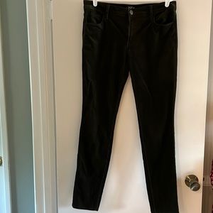 Loft Deep Forest Green Corduroy Straight Leg Pants